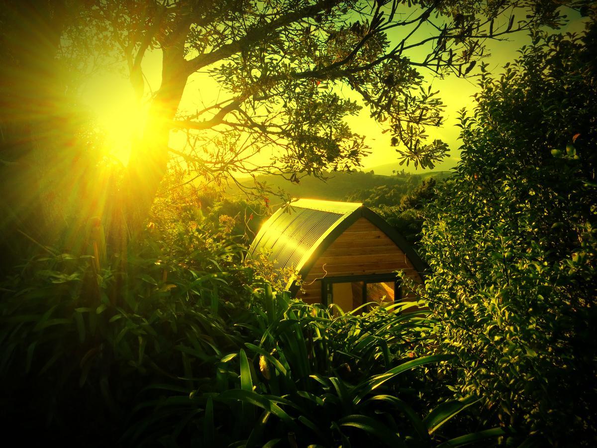 The Dome Waikino 빌라 외부 사진